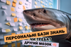 Персональні бази знань і "другий мозок": Вичерпний посібник для розуміння хайпу (перед тим як тратити час та гроші)
