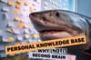 Personal Knowledge Bases and Second Brains: A Comprehensive Guide to Understanding the Hype (Before Pulling the Wallet)